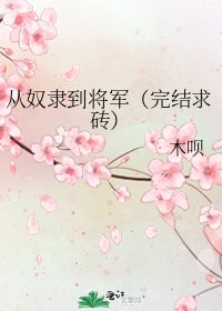 从奴隶到将军(求砖)