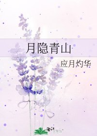 月隐青山