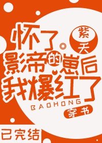 怀了影帝的崽后我爆红了[穿书]/福星崽带我爆红娱乐圈[穿书]